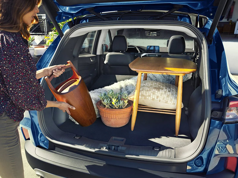 Interior and Cargo