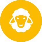 sheep icon