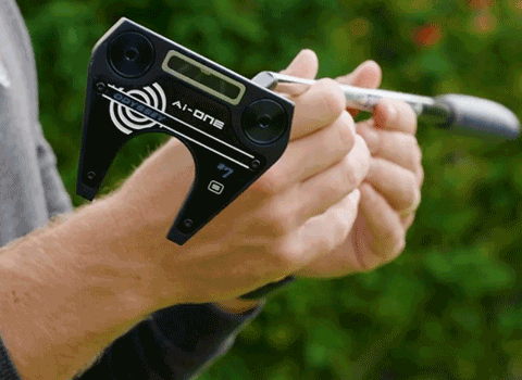 토행/페이스 밸런스