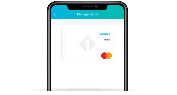 IMG-44-Borrow-CreditCards-ChoiceRewards-DIGEXP-201022.png