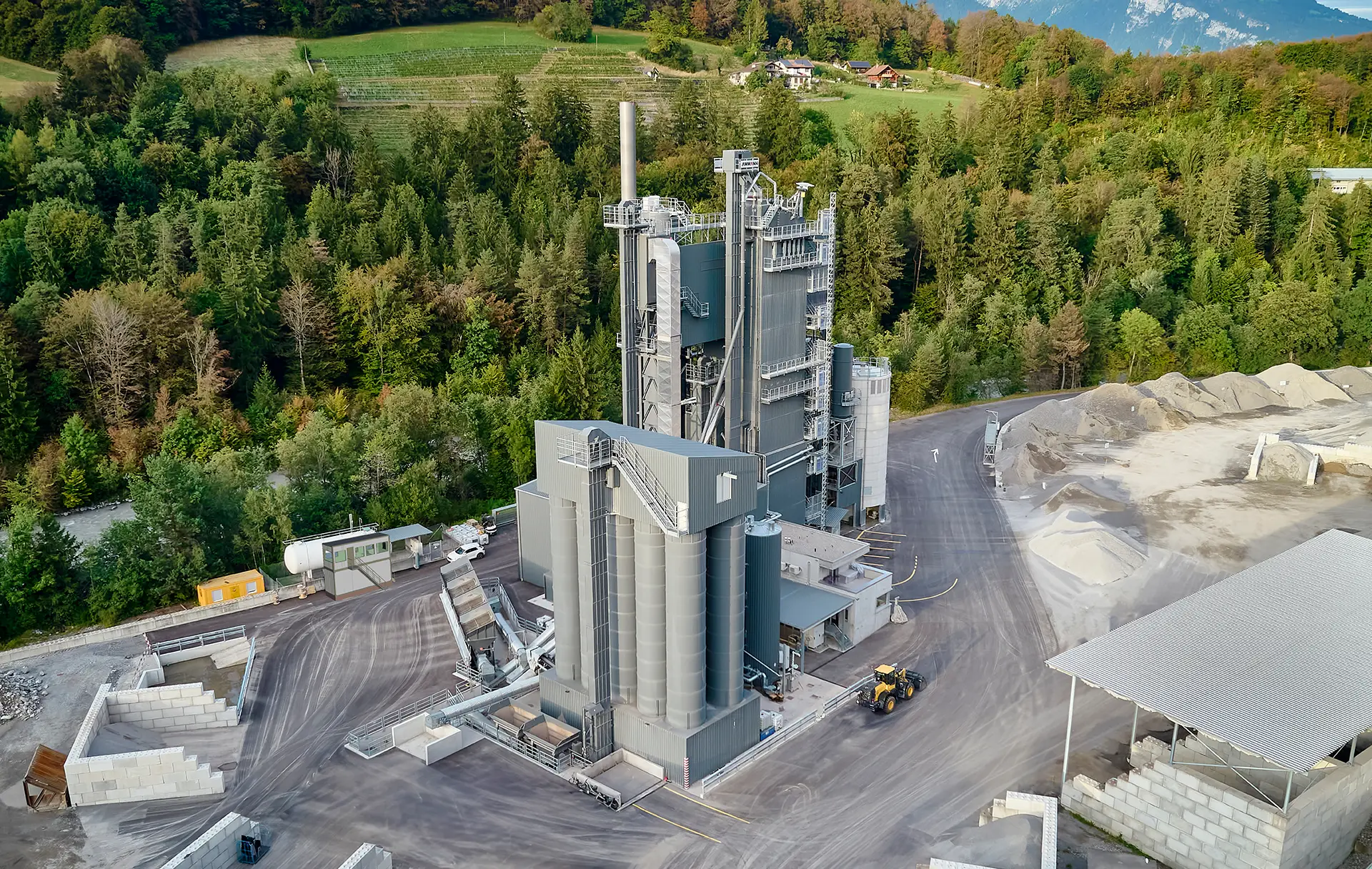 P2_Ammann_Plants_Values_1920x1216px.webp