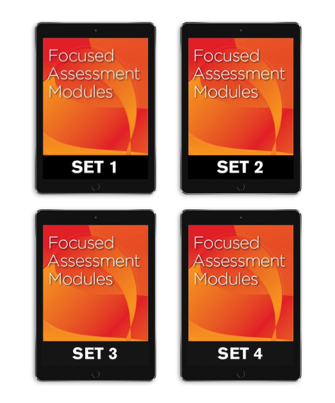 Focused Assessment Modules Bundle