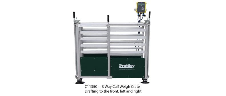 Calf Weigh Crates 2 162705773