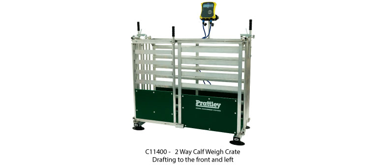 Calf Weigh Crates 1  162705774