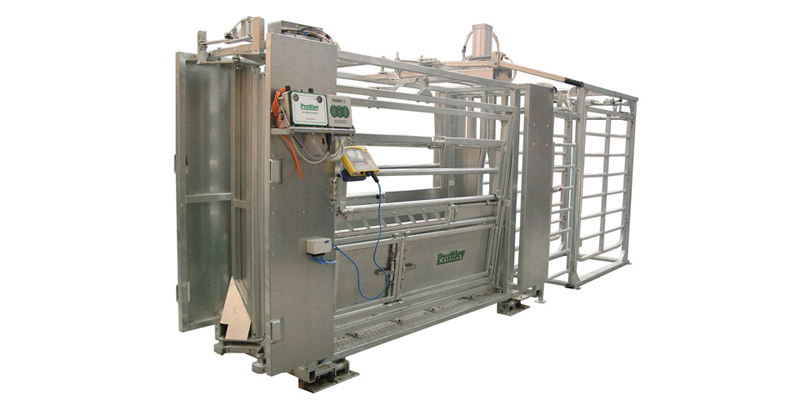 Permanent Cattle AutoDraft with Diverter Gates 162705794