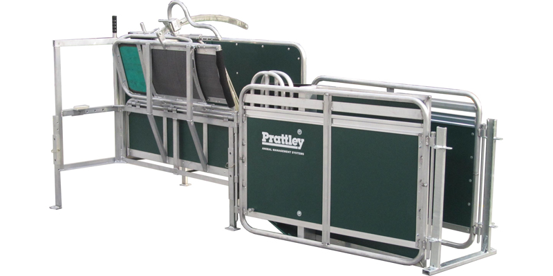 Manual-Sheep-Handler -Transparent 162705856