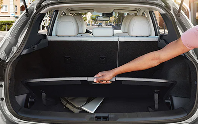 Nissan Rogue Sport